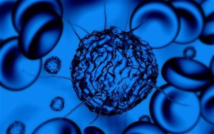 stem cell in a dish