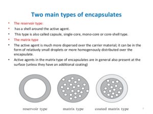different typs of encapsulation